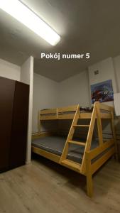 赫尔Village Hel Helska 11- ośrodek wśród sosen的客房设有带梯子的木制双层床。