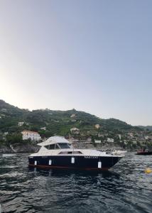 Amalfi Coast Yacht平面图