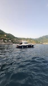 Amalfi Coast Yacht平面图