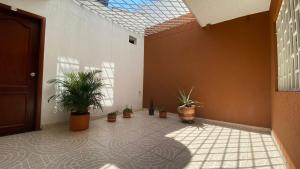 布卡拉曼加HOTEL GUADALUPE BGA的楼内带有盆栽的走廊