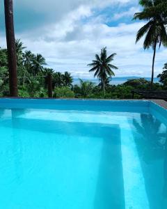 马太Camp Taveuni的一座种植了棕榈树的蓝色游泳池