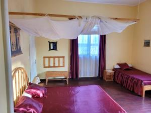 菲亚纳兰楚阿Residence MATSIATRA的一间卧室配有一张床和天篷