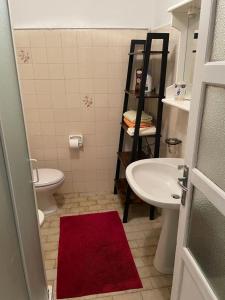 BrusimpianoCà Rosina Casavacanze的一间带卫生间和水槽的浴室以及红色地毯。