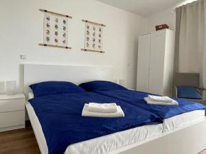帕索尔维基PÁLAVSKÉ DOMKY的一间卧室配有蓝色的床和蓝色枕头