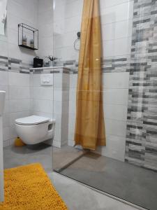 克拉帕尼岛Kuća za odmor TAJANA的一间带卫生间和玻璃淋浴间的浴室