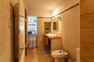 锡内乌Dels BOUS 163 SINEU的一间带卫生间、水槽和镜子的浴室