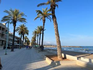 克尤伯厄拉斯Ático en Cubelles playa的海滩上种有棕榈树的海滨步道