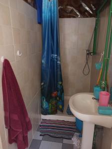 塔拉法尔Casa de Férias的浴室配有淋浴帘和盥洗盆。