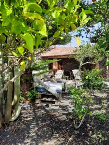 San AndrésCasa Rural Amapola的后院,带长凳和房子