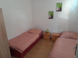 Krásnohorská Dlhá LúkaPenzión Anika的一间卧室设有两张床,铺有木地板