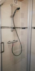 拉萨尔莱阿尔佩Le Galibier的浴室内配有淋浴和头顶淋浴