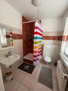 美因河畔法兰克福Apartment的一间带彩虹浴帘和水槽的浴室