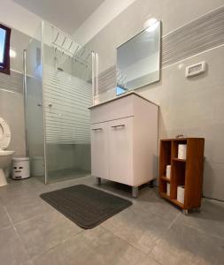 Tel ‘Adashimהמקום של ענת. Anat's place的一间带卫生间、水槽和镜子的浴室