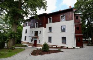 波兰尼卡-兹德鲁伊Apartamenty Dębowa 3的一间白色和棕色的大房子,有一棵树