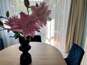 斯维诺乌伊希切Apartament BARI的花瓶里满是粉红色的花朵,坐在桌子上