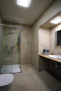 多克西Apartmány FELSENBURG Staré Splavy的带淋浴、卫生间和盥洗盆的浴室