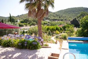 蒙希克Casa Spa d'Alma的棕榈树和游泳池的度假村