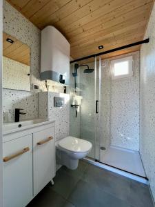达布基Domki Baltyk的浴室配有卫生间、盥洗盆和淋浴。