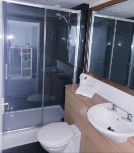 达灵顿The Grey Horse的浴室配有卫生间、盥洗盆和淋浴。