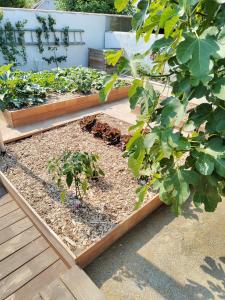 拉盖里尼耶尔nataliledeco bed and breakfeast的花园设有两张带植物的凸起床