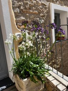 ArnascoAgriturismo Le Merline的建筑前的花卉,紫色和白色的花