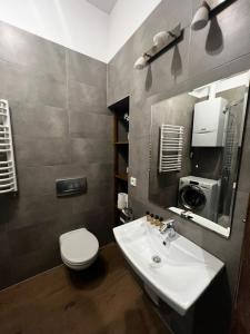 克拉科夫Lux apartmenty - Old City Kraków的一间带水槽、卫生间和镜子的浴室