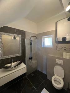 DrašniceVilla Nevia 1的浴室配有卫生间、盥洗盆和淋浴。