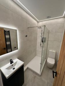 格拉斯哥Glasgow West End Tenement Apartment的带淋浴、卫生间和盥洗盆的浴室