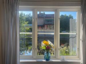 AsarumLovely Waterfront Cottage near Karlshamn的窗台上一束花