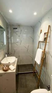 阿纳维索斯Sea Through Apartment Anavissos的带淋浴、盥洗盆和卫生间的浴室