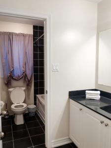 尼亚加拉瀑布Home Pearl B&B的一间带卫生间、水槽和镜子的浴室