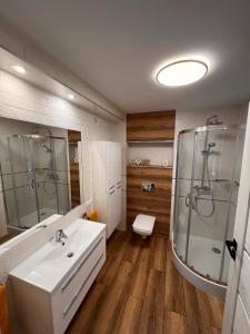 哈日科维CHARZYKOWSKIE TARASY的一间带水槽、淋浴和卫生间的浴室
