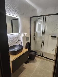 迈伊斯蒂Kastello的一间带水槽、卫生间和淋浴的浴室