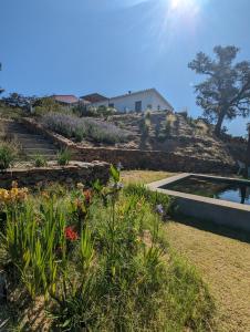 科迪加纳Finca Bravo的一座种满鲜花的花园,一座山坡上的房屋