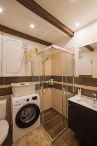 班斯卡 - 什佳夫尼察Apartmán u Bretschneidera的一间带洗衣机和水槽的浴室