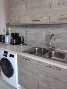 乐托卡亚SEA VIEW APARTMENTS Zeus的厨房配有水槽和洗衣机