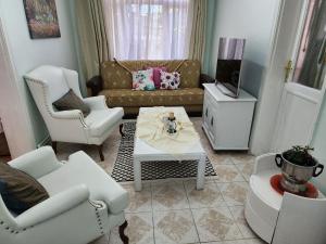 伊斯坦布尔Two Bedroom Flat in the Garden at the Bosphorus的客厅配有沙发、椅子和电视