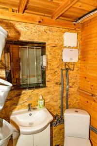 戈乌达普domek na Mazurach的一间带水槽、卫生间和镜子的浴室