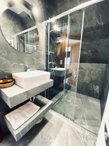 布科维纳-塔钱斯卡Willa Koszysta的一间带水槽、淋浴和镜子的浴室