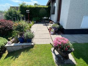 因弗内斯Hillside View, Inverness的种有盆栽植物的花园和一个庭院