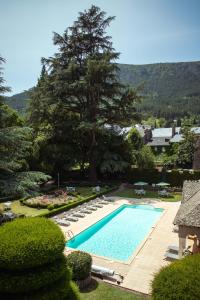 弗洛拉克Grand Hôtel du Parc的一个带躺椅的游泳池以及一棵树