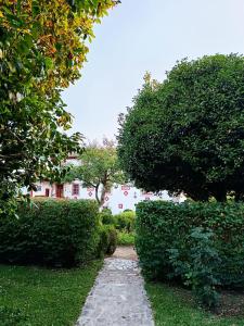 布拉加Quinta da Maínha - Charming Houses的花园内一条小径,房子的背景