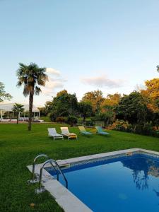 布拉加Quinta da Maínha - Charming Houses的一个带躺椅的游泳池,并种植了棕榈树
