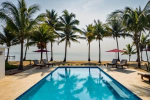 霍普金斯Coconut Row Boutique Hotel的一座棕榈树和海洋游泳池