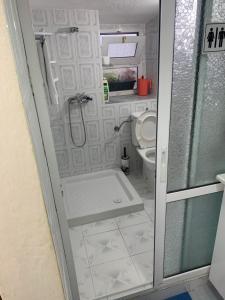 戈里察Tradicional Bazaar Home的一间带卫生间和淋浴的小浴室