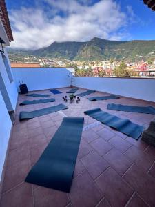 洛斯雷亚莱霍斯Canary Bio Hostel Tenerife的建筑物屋顶上的蓝色垫子