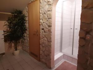 贝里斯泽尔Holiday home in Bayrischzell with sauna的浴室设有步入式淋浴间,位于玻璃门旁