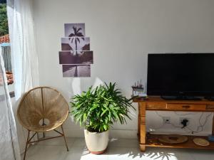 尼泰罗伊Itacoatiara - Apartamento com café da manhã ao lado da praia的一间带电视、椅子和植物的客厅