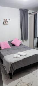 比亚维森西奥La Katiritaa的客房内的两张床和粉红色的毛巾