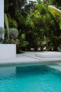 圣塔特蕾莎海滩Sky House Santa Teresa - Adults only的拥有蓝色海水和绿色植物的游泳池